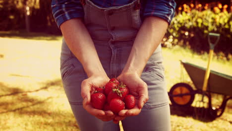 Female-gardener-showing-strawberry-in-the-park