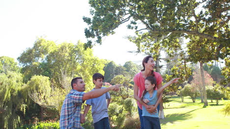 Familia-Feliz-Señalando-Algo-En-El-Parque