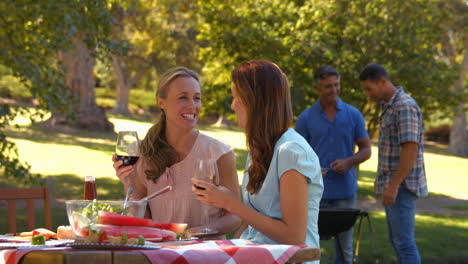 Happy-female-friends-drinking-at-the-park-and-smiling-at-camera