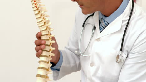 Doctor-looking-at-spine-model