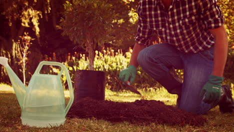 Man-gardening-in-the-park-