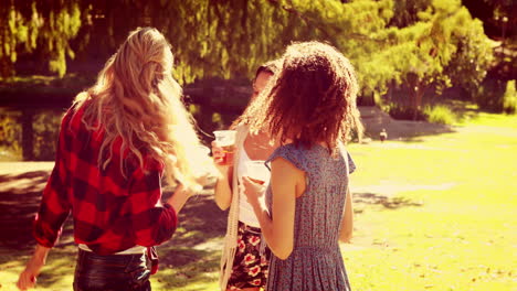 Happy-friends-in-the-park-having-beers