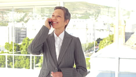 Smiling-businesswoman-having-a-phone-call