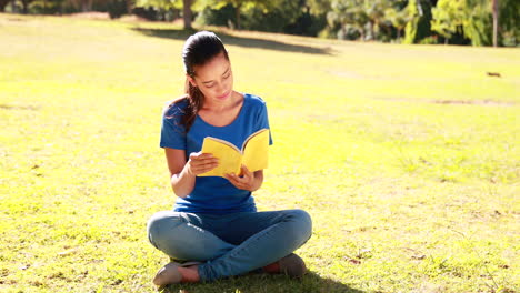 Mujer-Leyendo-Un-Libro-En-El-Parque