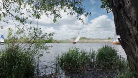 Segelboote-Kreuzen-Fluss-Waveney-Freizeit-Sport-Aktivität-Suffolk-Broads