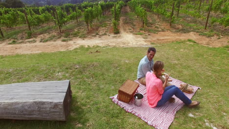 Imágenes-De-Drones-De-Una-Pareja-Haciendo-Un-Picnic