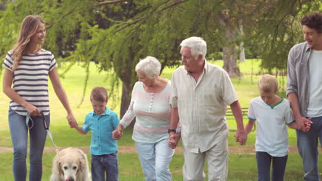 Family-with-dog-in-the-park