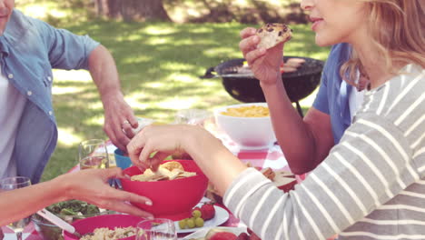 Happy-family-having-a-picnic