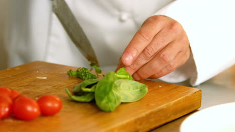 Chef-cutting-vegetables