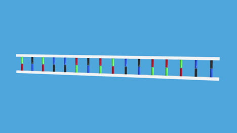 Animation-of-DNA-moving-
