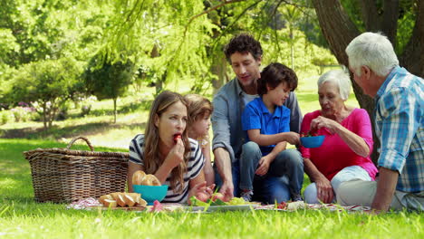 Glückliche-Familie,-Die-Ein-Picknick-Macht
