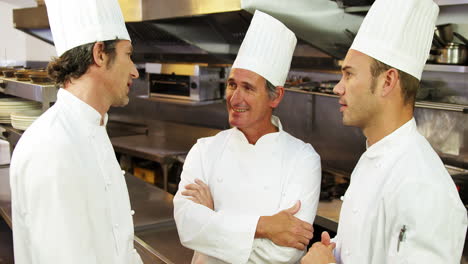 Handsome-chef-having-a-conversation