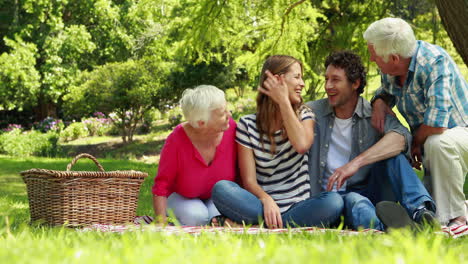 Familia-Feliz-En-Un-Picnic