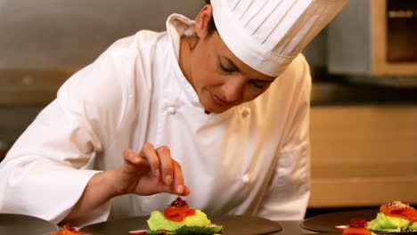 Platos-De-Guarnición-Del-Chef