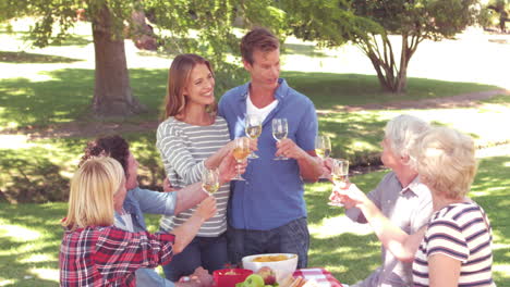 Happy-family-toasting-during-a-picnic