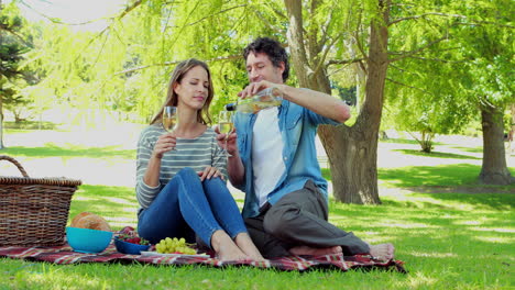 -Pareja-Feliz-Haciendo-Un-Picnic