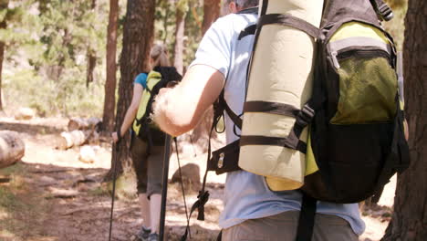 Two-hiker-walking-through-forest