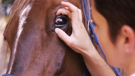 Tierarzt-Untersucht-Die-Augen-Eines-Pferdes