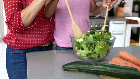 Nahaufnahme-Von-Mutter-Und-Tochter,-Die-Einen-Salat-Kochen