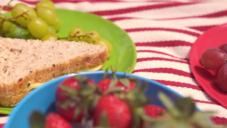 Close-up-view-of-a-picnic