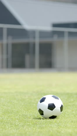 Vertical-video:-Soccer-ball-sits-on-green-grass,-goal-in-background