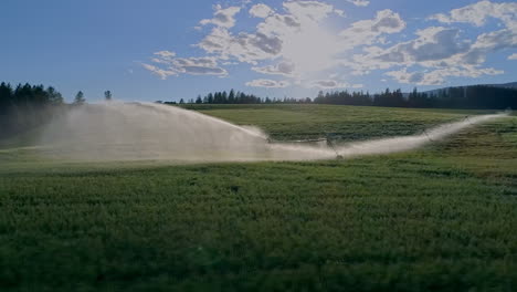 Irrigation-sprinkler-spraying-water-on-farm-field-4k