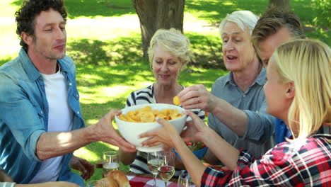 Family-having-a-picnic