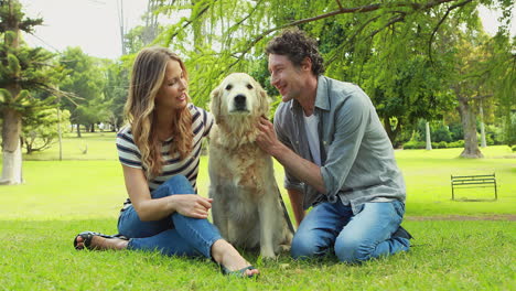 Couple-with-their-dog-in-the-park