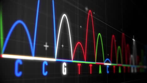 Animation-Von-Grafiken-Und-Statistiken