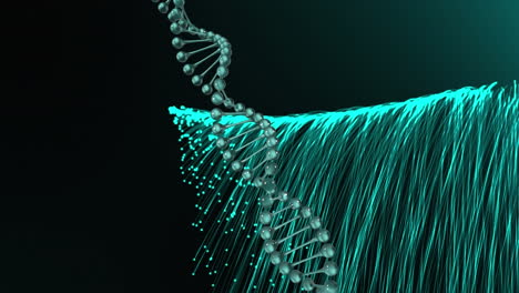 Animation-of-dna-helix-rotating-with-fibres-moving-on-black-background