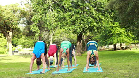 Fitness-group-doing-yoga-in-park