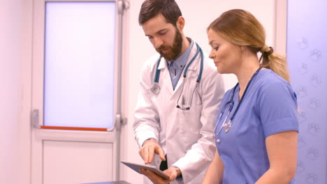 A-vet-is-showing-his-tablet-to-his-assistant