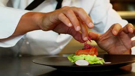 Chef-preparing-a-plate