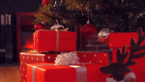 View-of-christmas-decorated-living-room