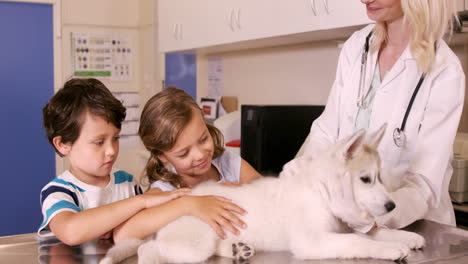 Tierarzt-Und-Kinder-Streicheln-Einen-Hund