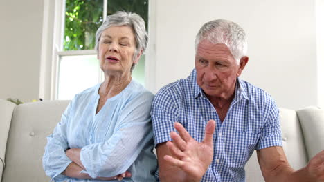 Pareja-De-Ancianos-Discutiendo