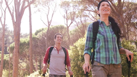 Couple-is-walking-in-the-forest-