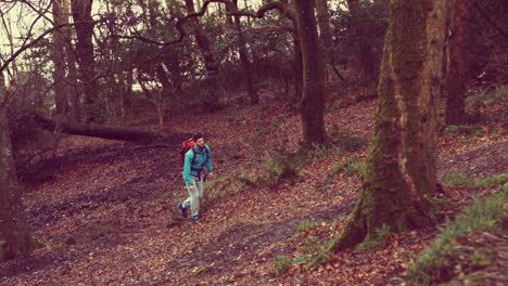 Schöner-Mann-Auf-Einer-Wanderung