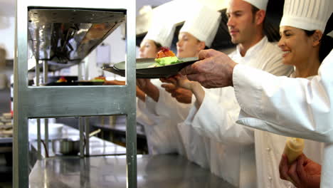 Chefs-placing-their-dishes-on-counter