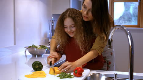 Frau-Bringt-Ihrer-Tochter-Das-Kochen-Bei