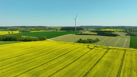 A-panoramic-aerial-view-of-yellow-rapeseed-fields-stretching-across-the-countryside,-with-green-patches-and-a-bright-blue-sky