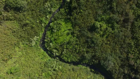 Dry-river-in-green-hilly-Hawaii-landscape-in-sunlight,-overhead-aerial