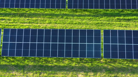 Solarpanelreihen-In-Einem-Solarpark-In-Der-Luftansicht-Von-Oben-Nach-Unten