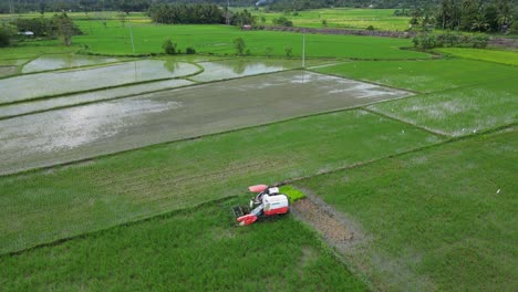 Aerial-descending-view-of-a-harvesting-machine-operating-in-the-middle-of-rice-paddies-in-a-rural-agricultural-area-in-Bicol,-Philippines-