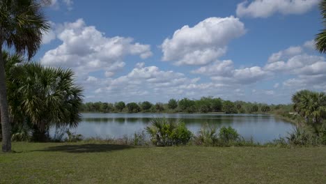 Zeitraffer-Von-Sich-Bewegenden-Wolken-Und-Sich-Wiegenden-Bäumen-über-Einem-See-Auf-Einem-Campingplatz-In-Florida-Im-Winter