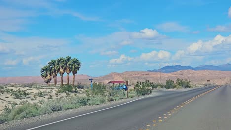 Slim-Creek-Oasis-Palm-Trees-Isolated-in-a-Desert-Along-Route-167-Northshore-Road-Toward-Valley-of-Fire,-Nevada,-USA