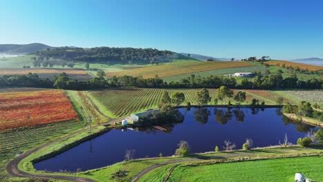 Reflejos-De-árboles-En-La-Presa-De-Un-Viñedo-En-El-Valle-De-Yarra-Cerca-De-Yarra-Glen-En-Victoria,-Australia