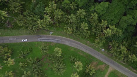 Drone-overhead-shot-of-road-between-trees