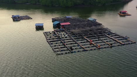 Aerial-birds-eye-view-flyover-traditional-floating-fish-farms-on-calm-waters,-tilt-up-reveals-distant-bridge-and-mountain-in-the-background,-wooden-structures-with-cages-and-nets-used-for-aquaculture