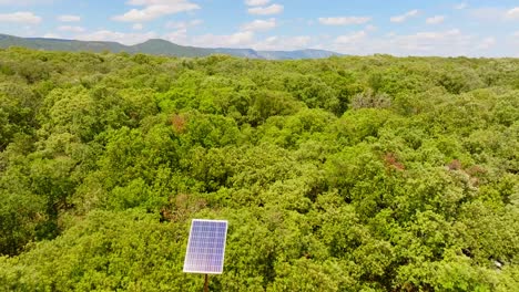 slow-revealing-shot-of-a-forest-clearing-with-solar-panels-in-Puéchabon
